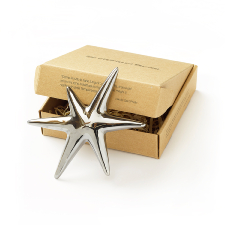 Handmade Ceramic Star (platinium)