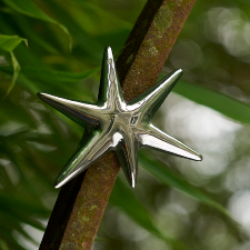 Handmade Ceramic Star (platinium)