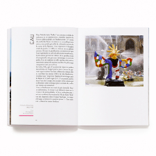 Le petit dictionnaire Niki de Saint Phalle en 49 symboles by Lucia Pesapane