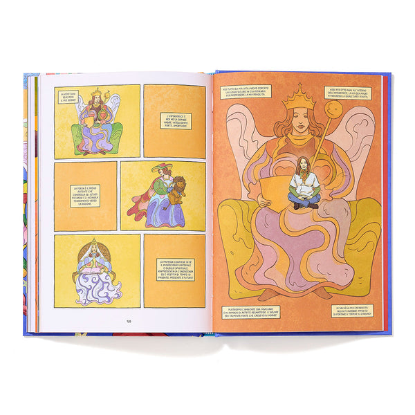 Biographic Novel Niki de Saint Phalle