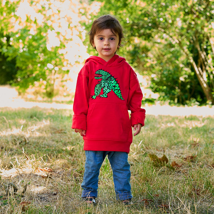 Hoodie Dragon - 1